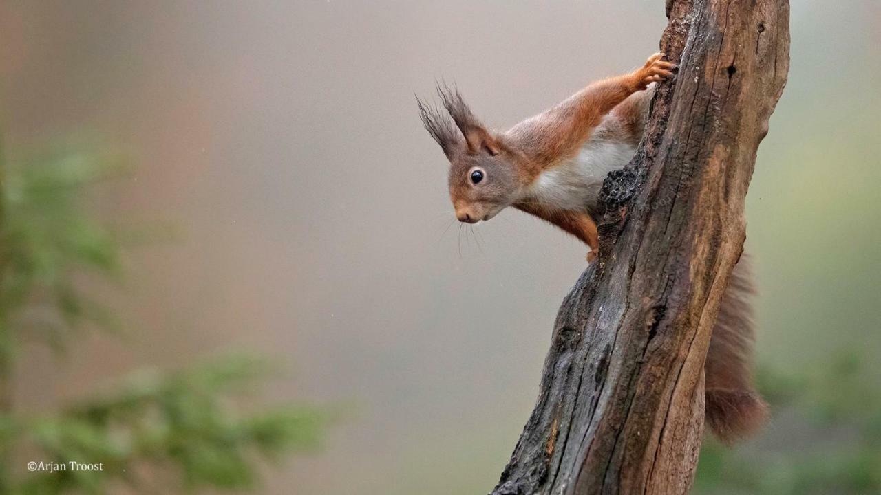 Carpe Diem Нейвердал Экстерьер фото
